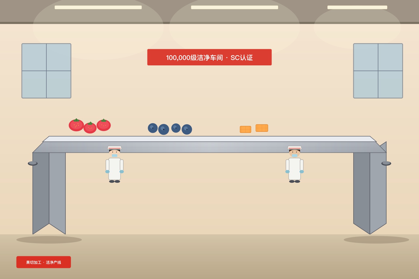 无尘车间包装